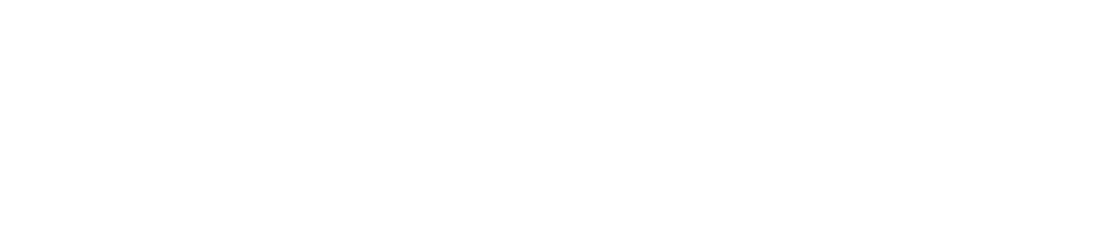 Buildsoft pro